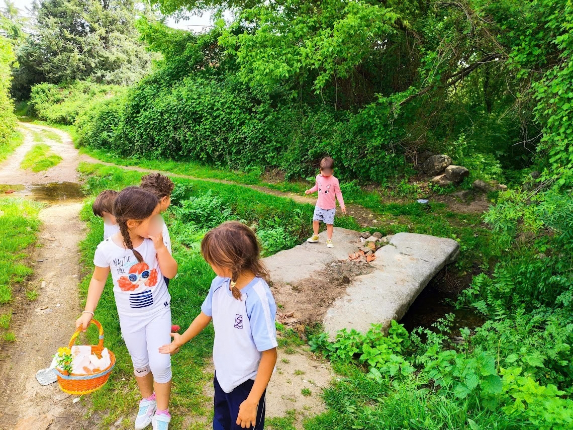 Aprendizaje al aire libre en el colegio: educación en contacto con la naturaleza
